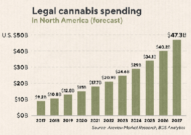 cannabis chart