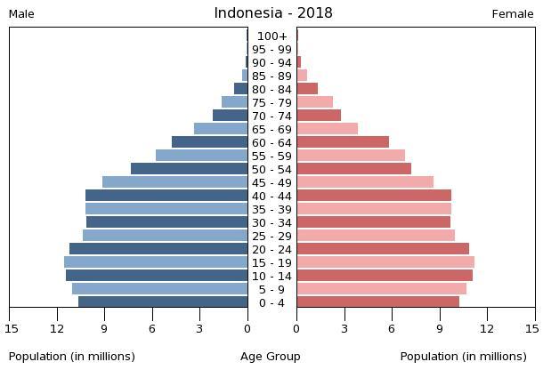 Indonesian Population