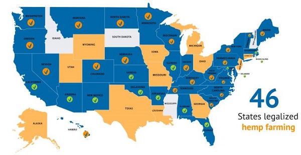 hemp map 2019