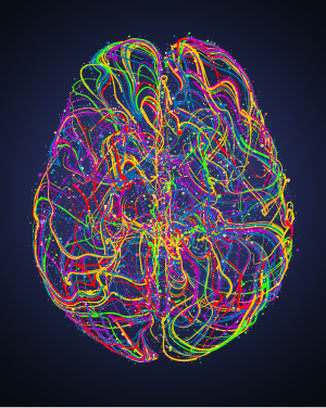 gcs miracle brain