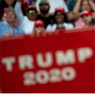 trump stocks