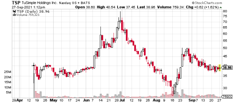 TSP YTD Chart