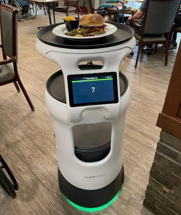 rosie the robot server