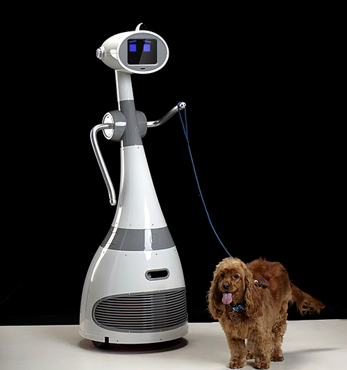 Robot Dog Walker