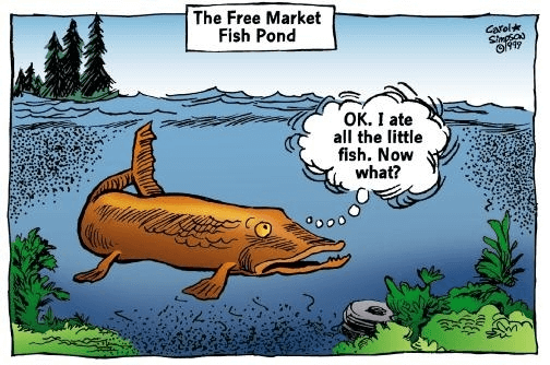 Free Market Fish Pond