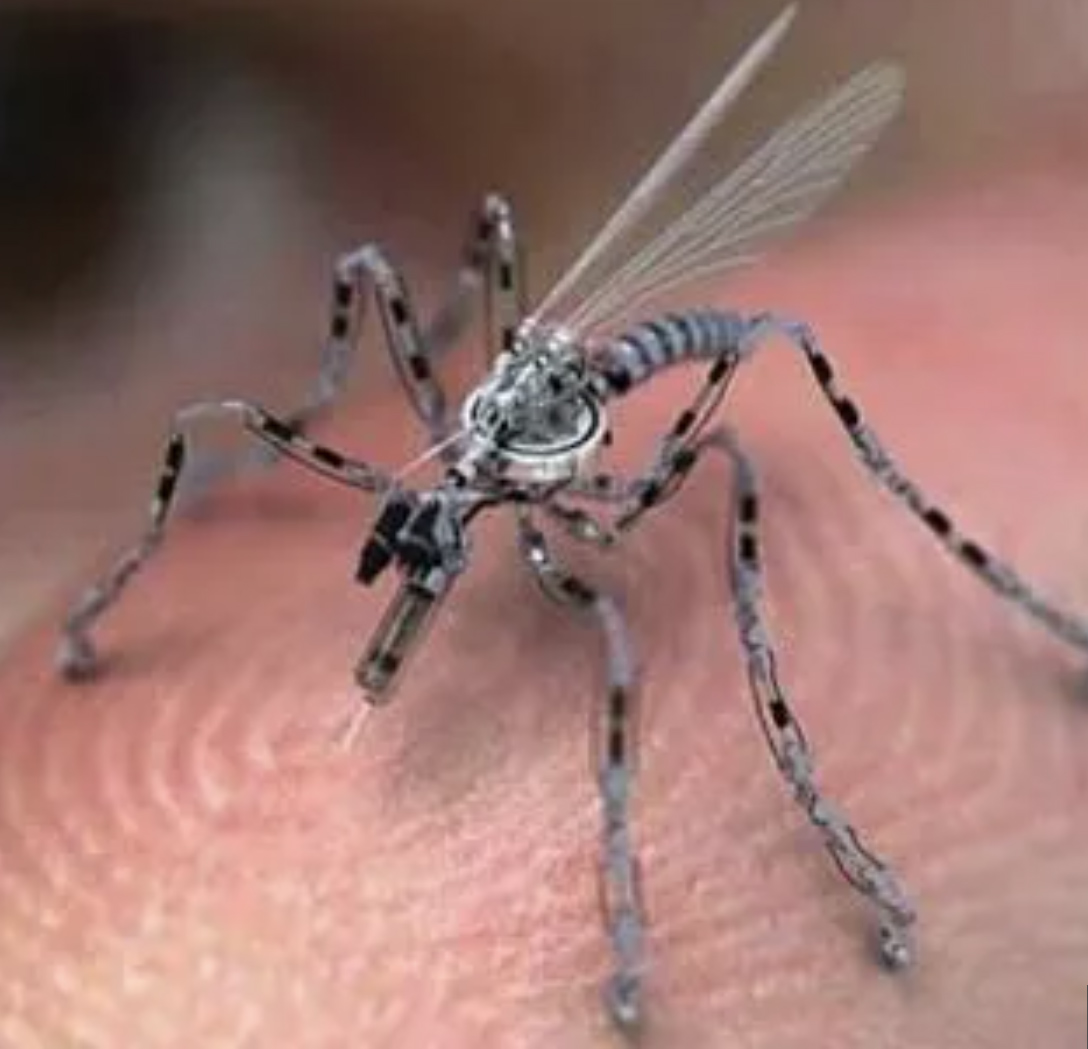 insect drone